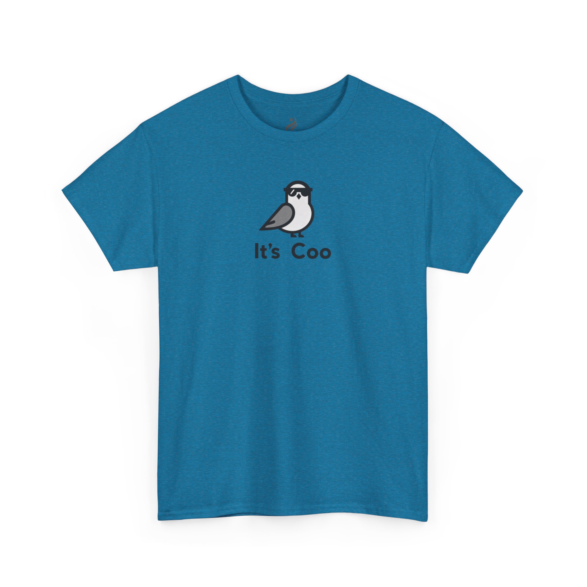 Funny Graphic T-Shirt – It’s Coo Pigeon