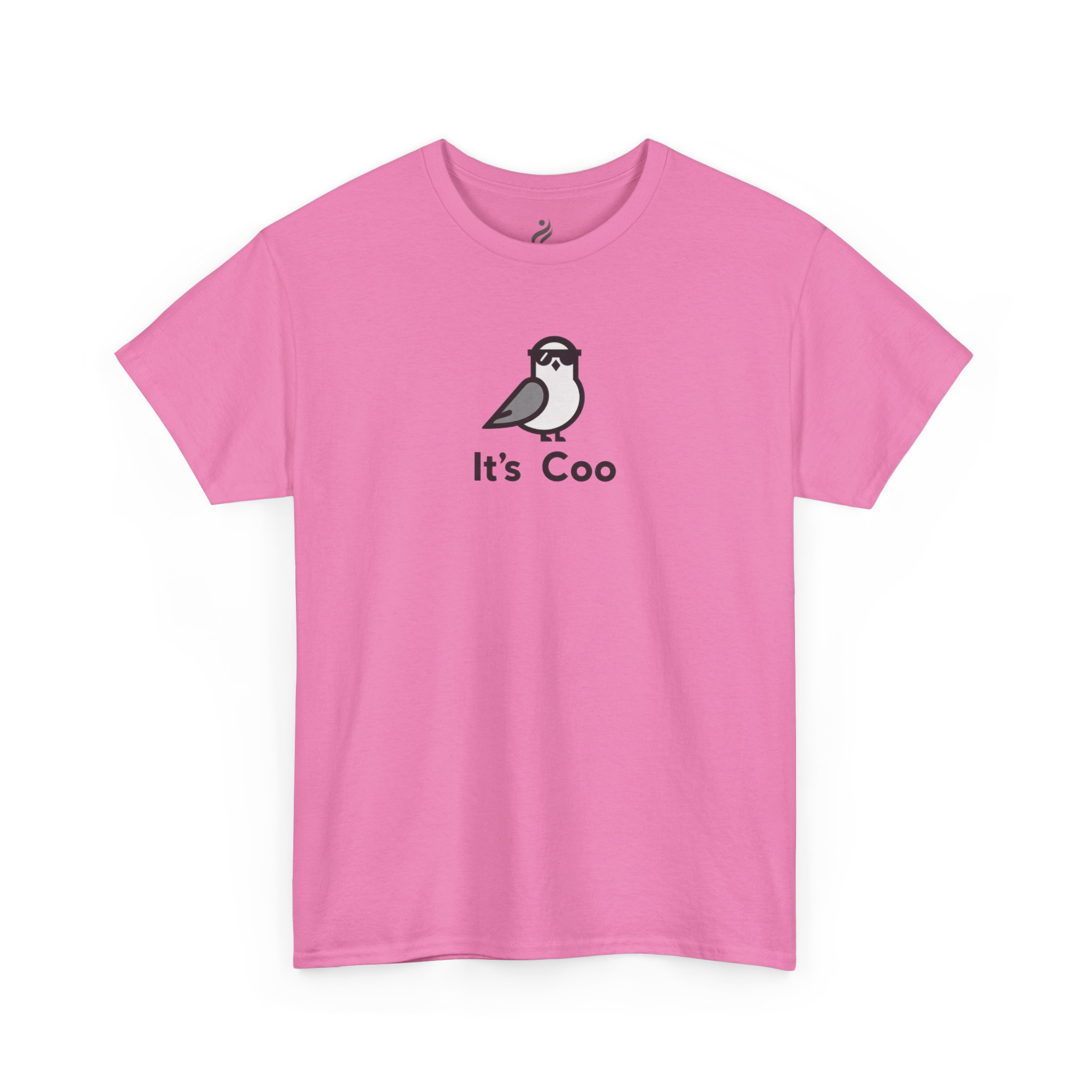 Funny Graphic T-Shirt – It’s Coo Pigeon