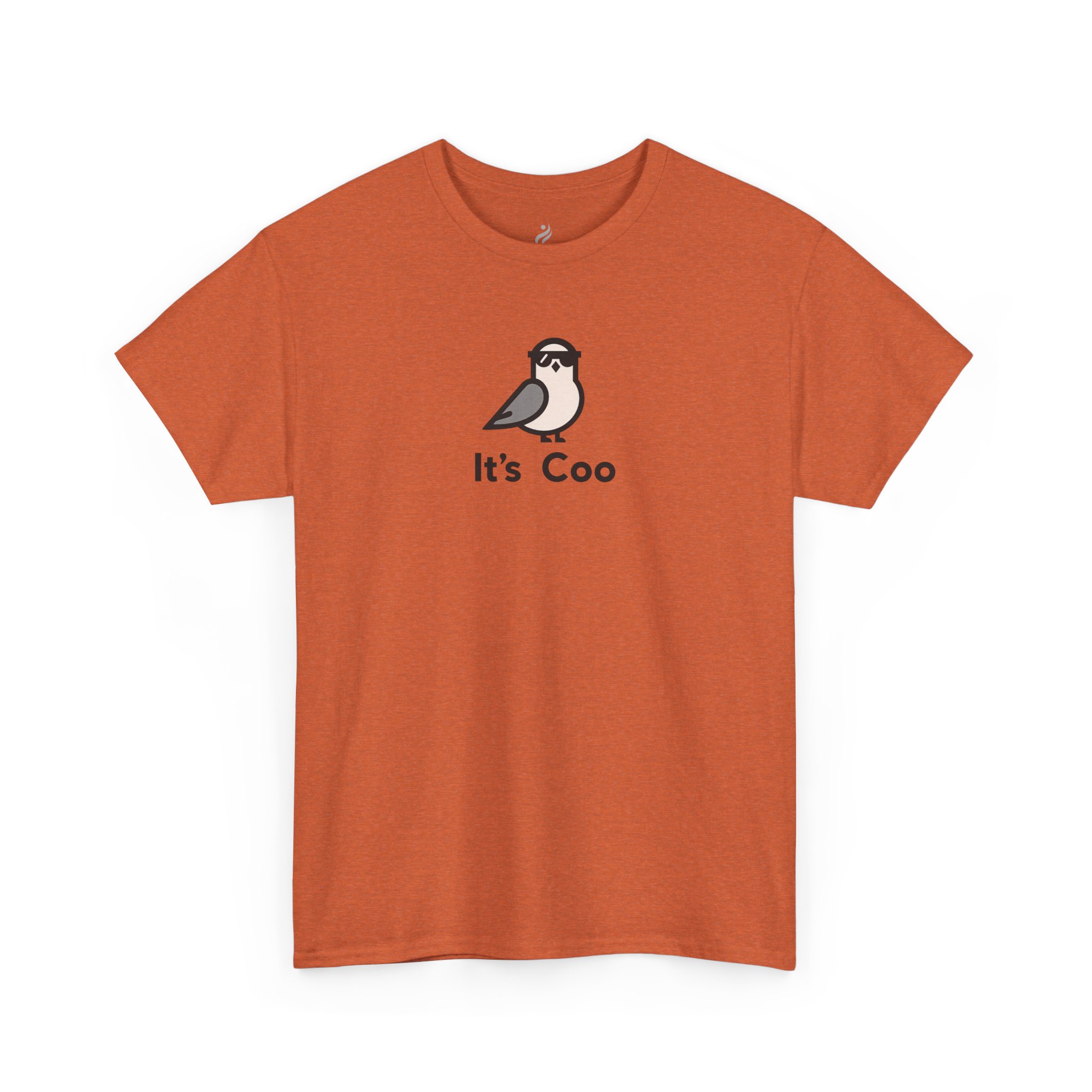 Funny Graphic T-Shirt – It’s Coo Pigeon