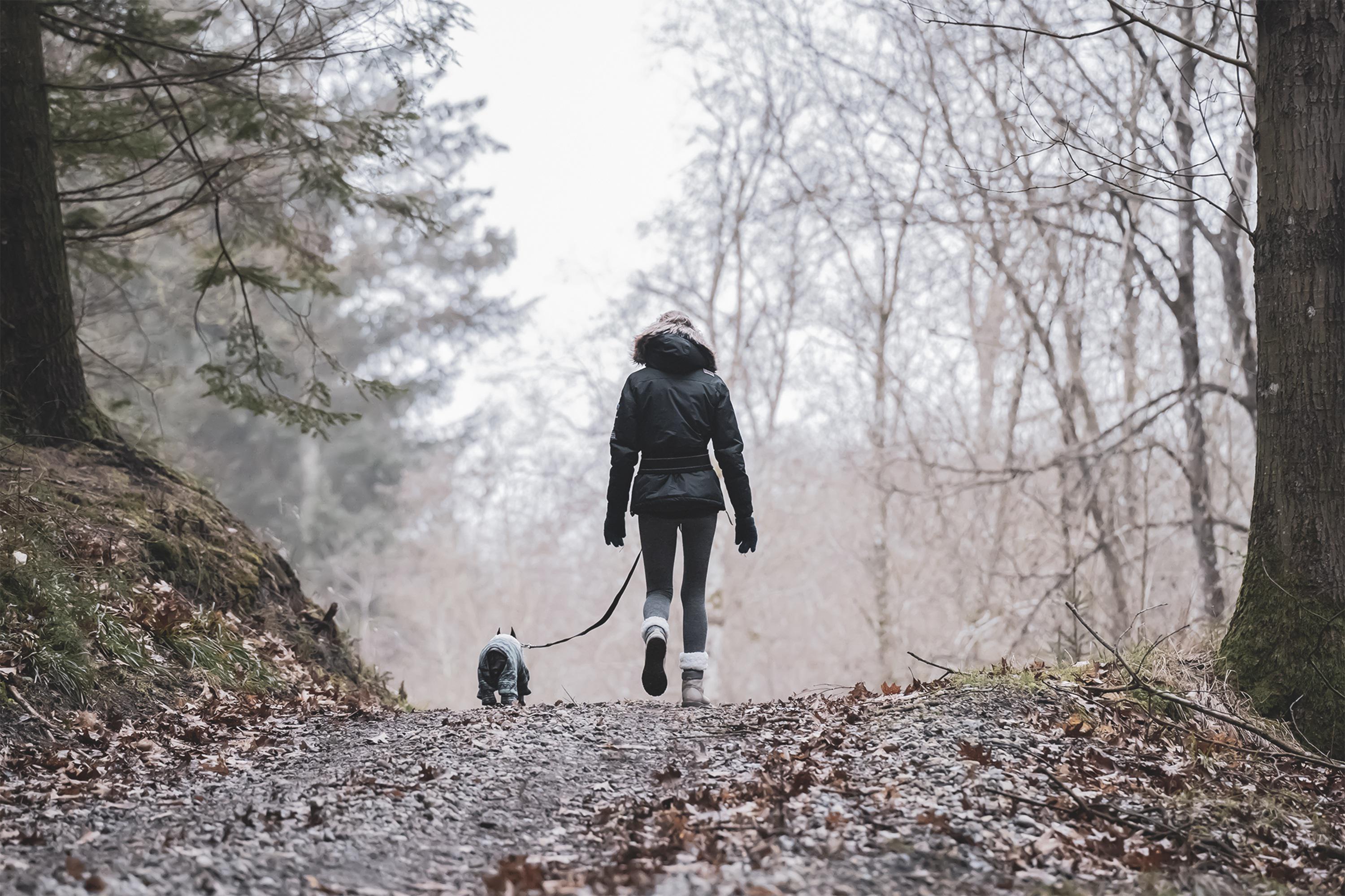 Gift Guide for People Who Love Nature Trails Gift Guide for People Who Love Nature Trails
